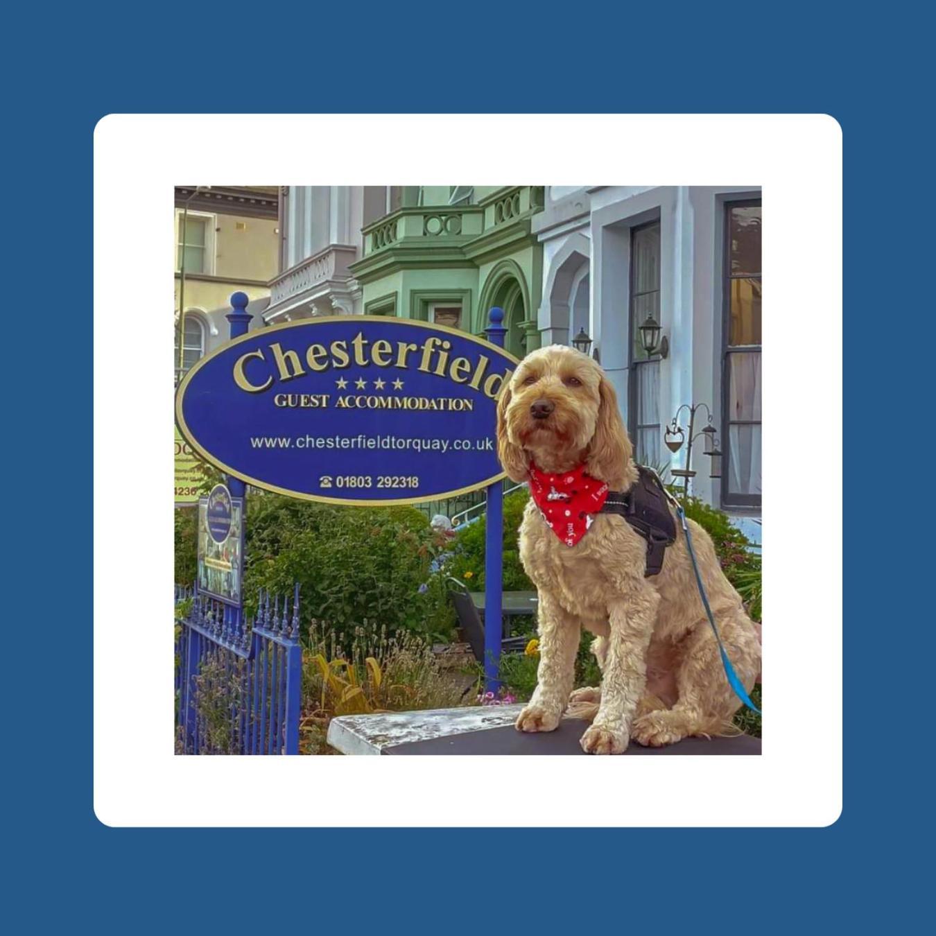 The Chesterfield, Torquay (Adults Only) Dış mekan fotoğraf